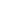 1998tiger icon