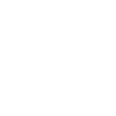 1998tiger icon