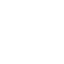 1998tiger icon