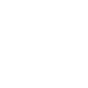 1998tiger icon