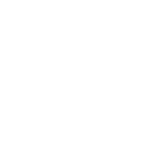 1998tiger icon